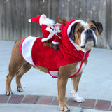 Dog Christmas clothes Santa Claus riding a deer