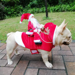 Christmas Dog Clothes - Santa Dog Costumes