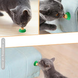  Cats Snacks Licking Candy toy 