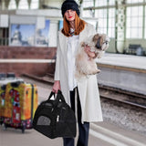 Luxury Pet Carrier Hand Bag