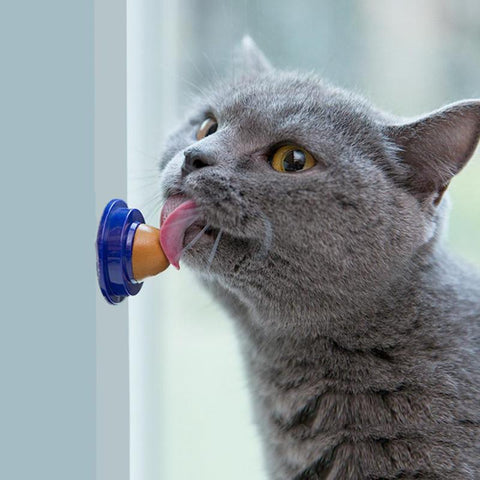  Cats Snacks Licking Candy toy 