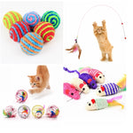 Cat Interactive Toy Stick