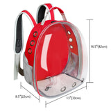 Austronaut transparent Cat backpack