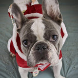 Christmas Dog Clothes - Santa Dog Costumes