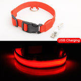 Luxury LED light Dog Collar