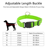 Luxury LED light Dog Collar