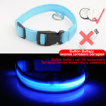 Luxury LED light Dog Collar