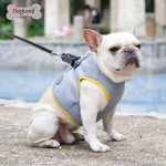 Summer Dog Cooling Vest