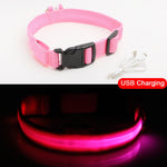 Luxury LED light Dog Collar