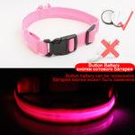 Luxury LED light Dog Collar