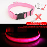 Luxury LED light Dog Collar