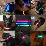 Luxury LED light Dog Collar