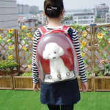 Austronaut transparent Cat backpack