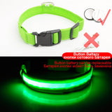 Luxury LED light Dog Collar