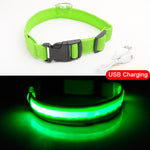 Luxury LED light Dog Collar