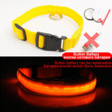 Luxury LED light Dog Collar