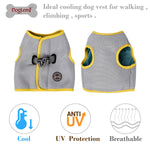 Summer Dog Cooling Vest