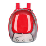 Astronaut transparent Cat backpack