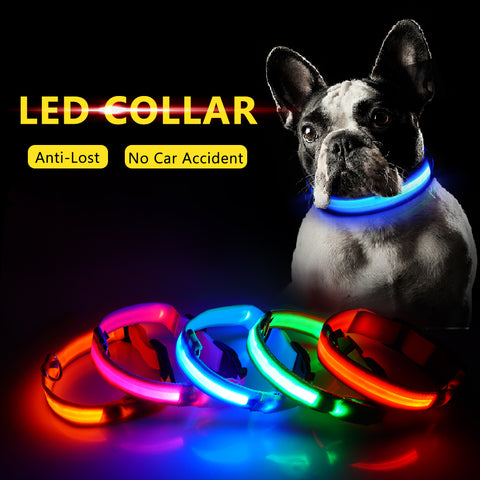 Luxury LED light Dog Collar