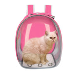 Astronaut transparent Cat backpack