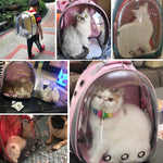 Austronaut transparent Cat backpack