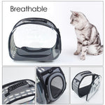 Transparent Cat Carrier Hand Bag With Sling