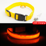 Luxury LED light Dog Collar