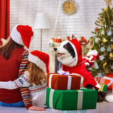 Christmas Dog Clothes - Santa Dog Costumes