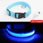 Luxury LED light Dog Collar