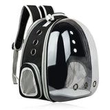 Convertible Cat Backpack With tent Transformation